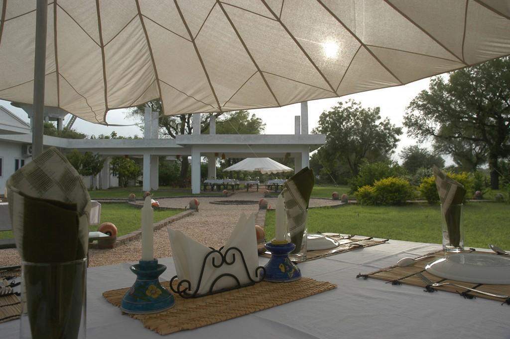 Savista Retreat Hotel Dzsaipur Kültér fotó