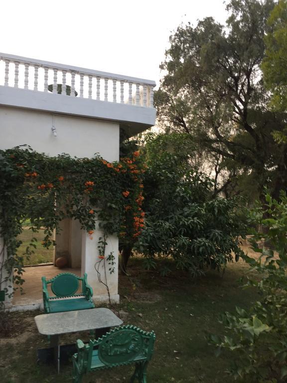 Savista Retreat Hotel Dzsaipur Kültér fotó