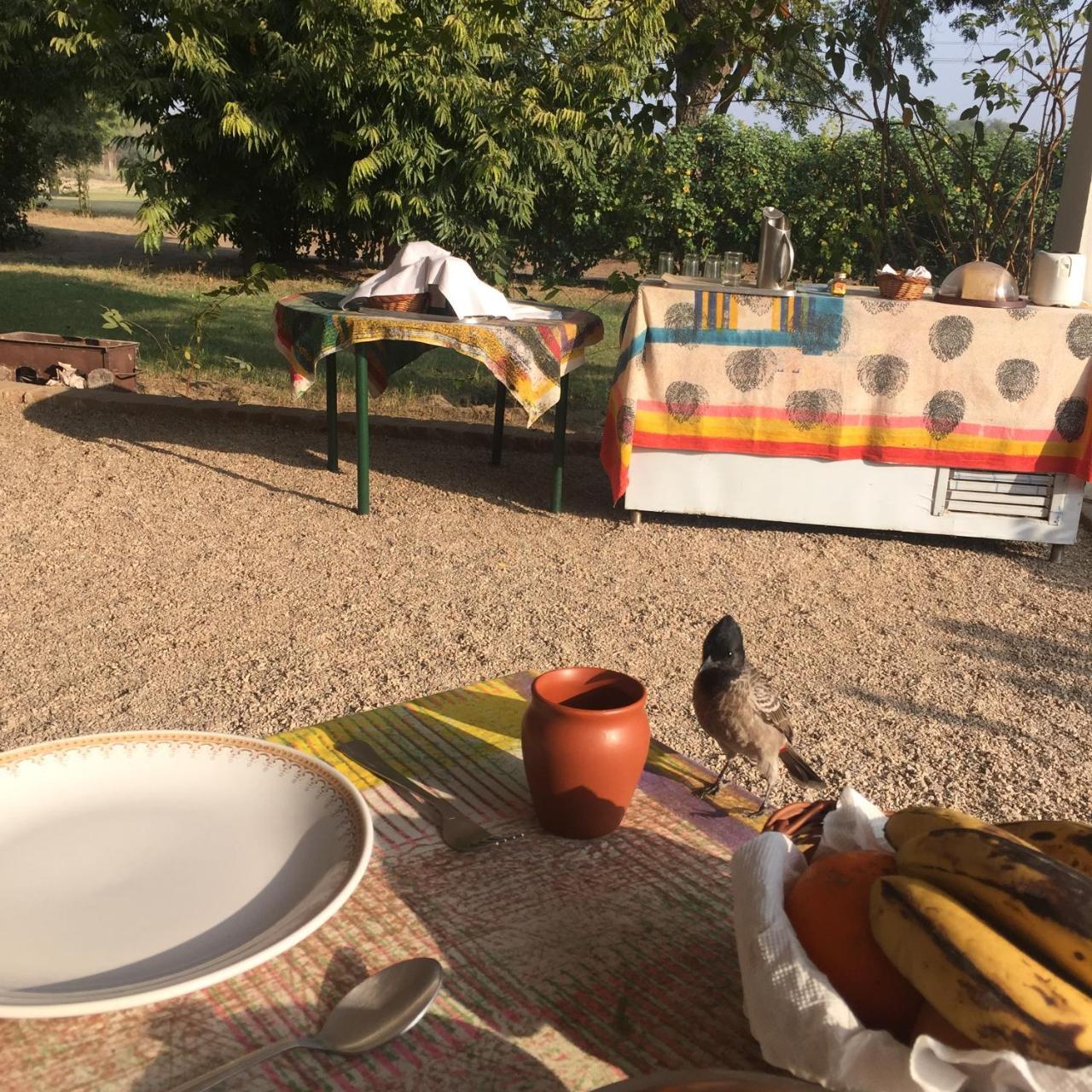 Savista Retreat Hotel Dzsaipur Kültér fotó