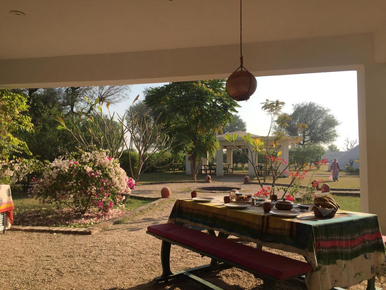 Savista Retreat Hotel Dzsaipur Kültér fotó